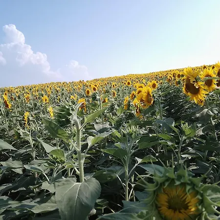 別荘 Casa Nel Bosco