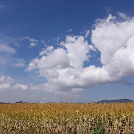 Casa Nel Bosco Tatil Evi